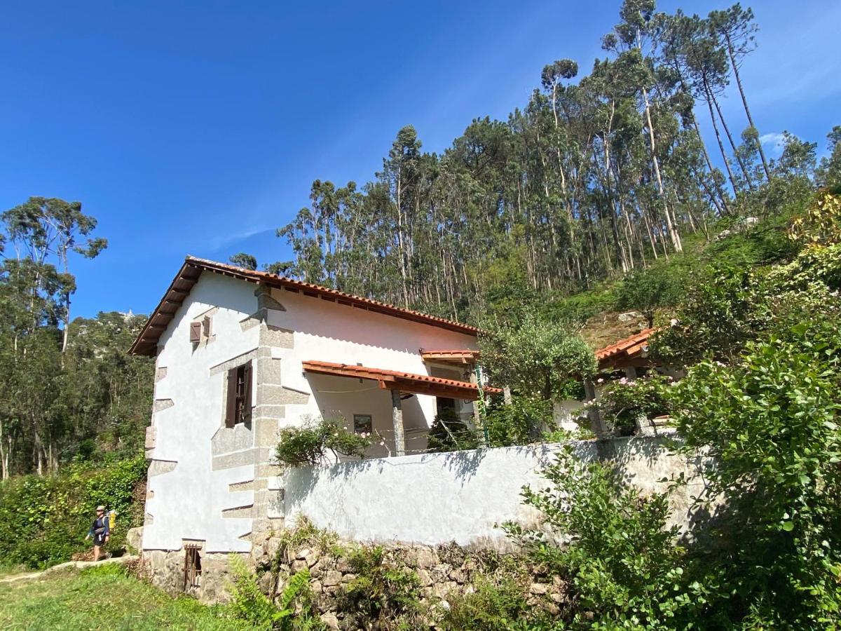 Casa Da Azenha Branca Βίλα Castelo Do Neiva Εξωτερικό φωτογραφία