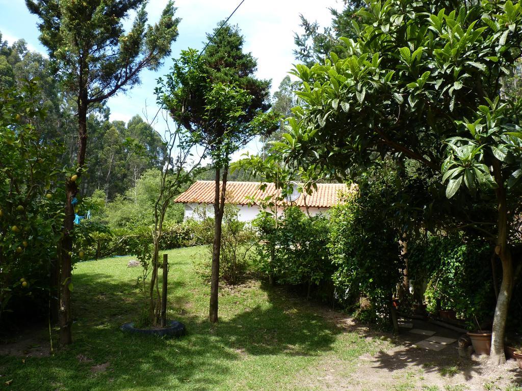 Casa Da Azenha Branca Βίλα Castelo Do Neiva Εξωτερικό φωτογραφία