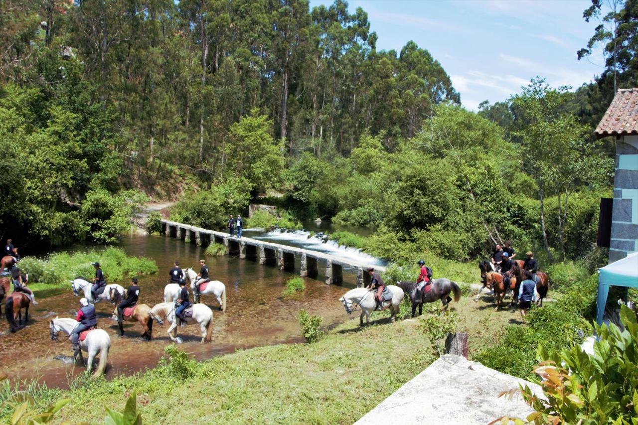 Casa Da Azenha Branca Βίλα Castelo Do Neiva Εξωτερικό φωτογραφία
